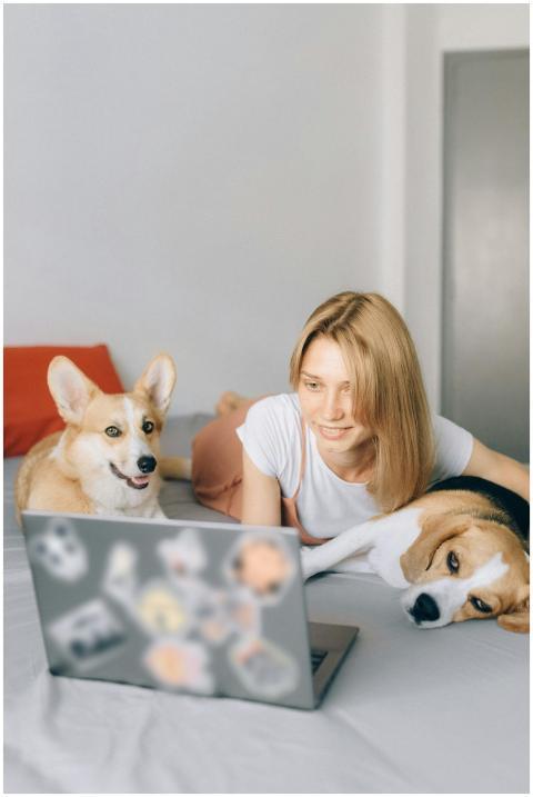 Woman lying on bed with two dogs, using laptop for