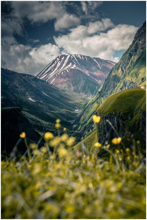 Snow-capped mountain surrounded by lush greenery a