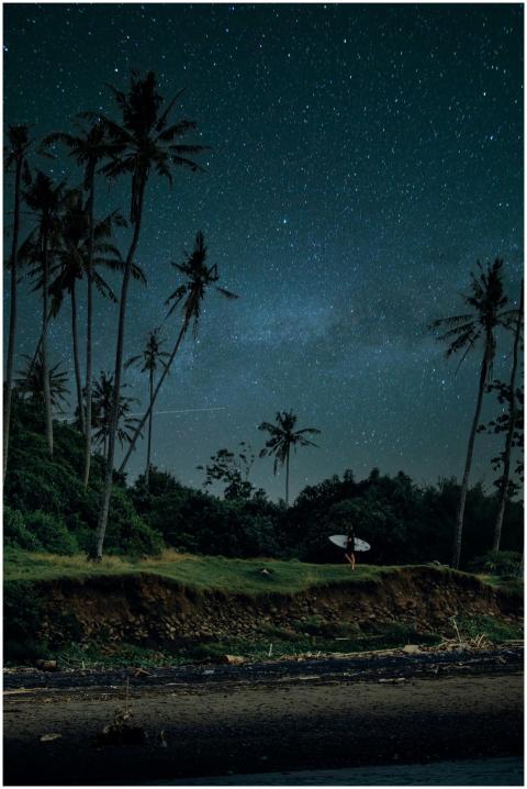 A surfer stands under a starry sky near coconut tr