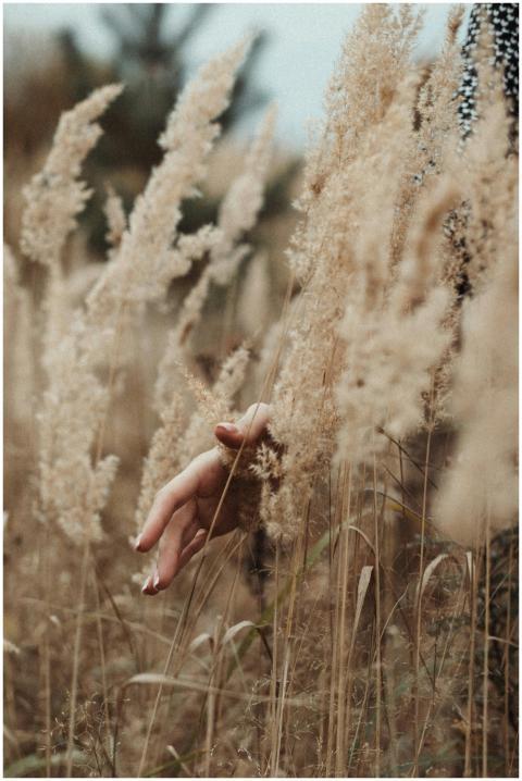 A delicate hand touching brown, dried grass in an