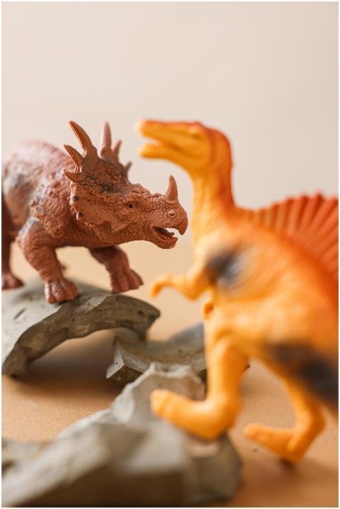 Close-up of toy dinosaurs in a playful encounter o