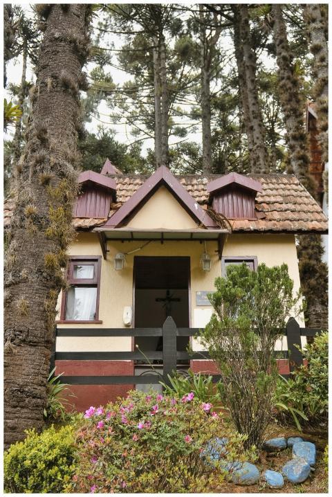 A picturesque rustic cabin surrounded by tall pine