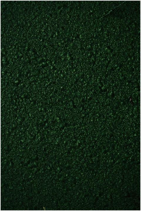 Close-up of a dark green textured surface, perfect