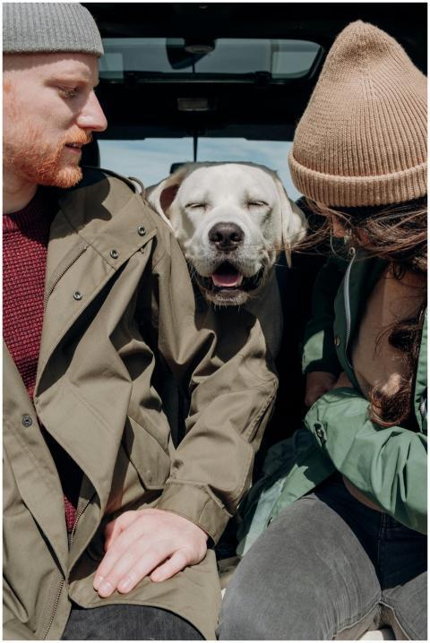 Couple with Labrador Retriever on a cozy road trip