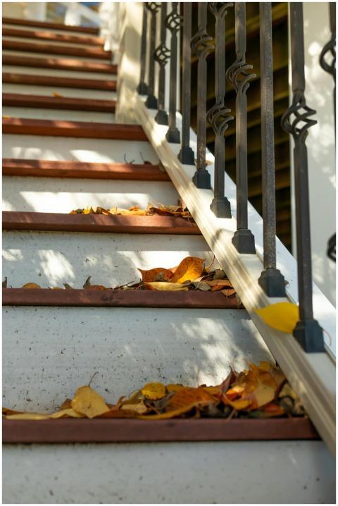 Sunlit autumn leaves scatter on wooden stairs with