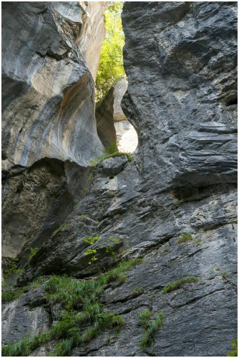 Vertical shot of rugged rock formations with green