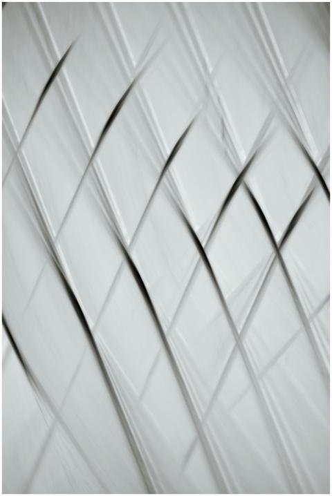 Abstract geometric lines and patterns in a monochr