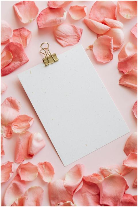 Top view of bunch of pink petals of roses  placed