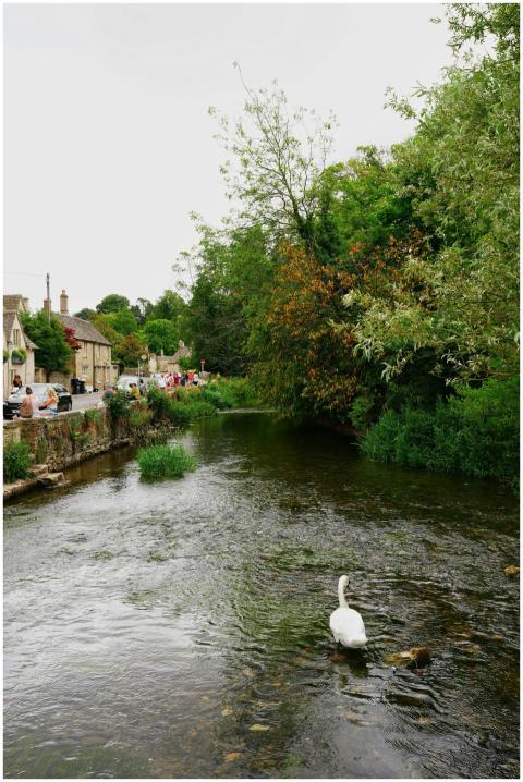 Picturesque view of a river in a classic English v