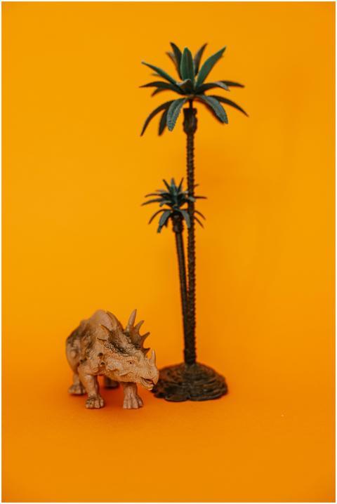 Triceratops toy next to a palm tree on a vibrant o