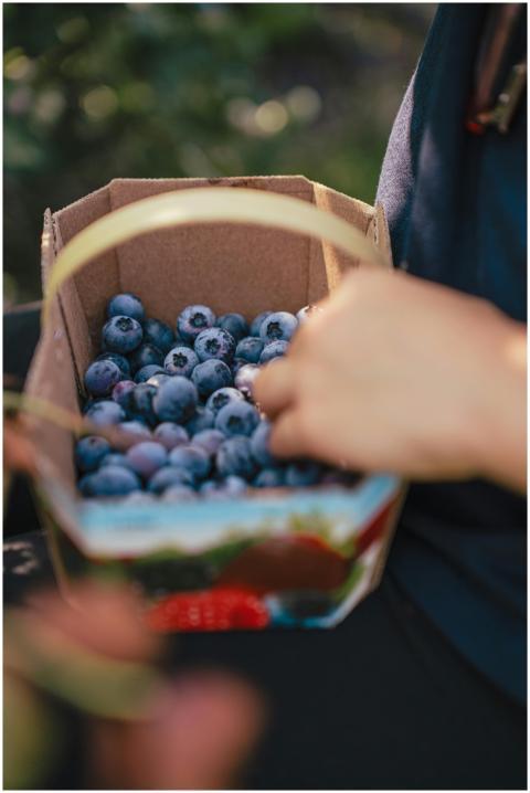 Person holding a cardboard basket filled with ripe
