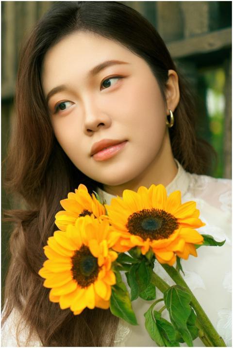 Free stock photo of ánh sáng dịu, ánh sáng tự nhiê