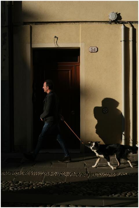 A man with a dog strolls along a shadowed street i