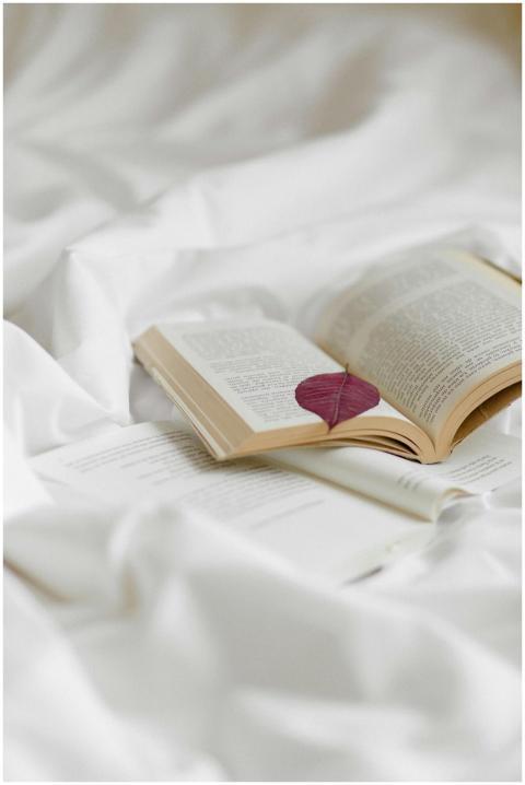 A serene image of an open book with a red leaf on