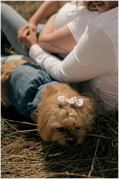 A couple enjoying a tender moment in nature with t