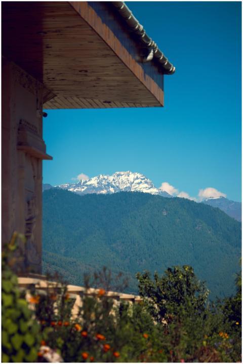 Free stock photo of 4k, background, landscape phot