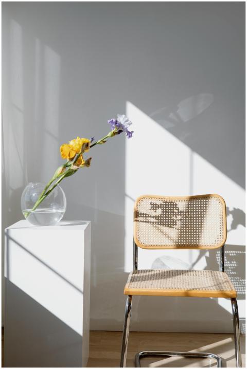 Sunlit corner with a contemporary chair and flower