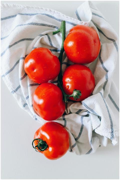 Top view of fresh, ripe tomatoes with water drople