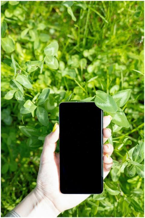 A close-up of a hand holding a smartphone surround