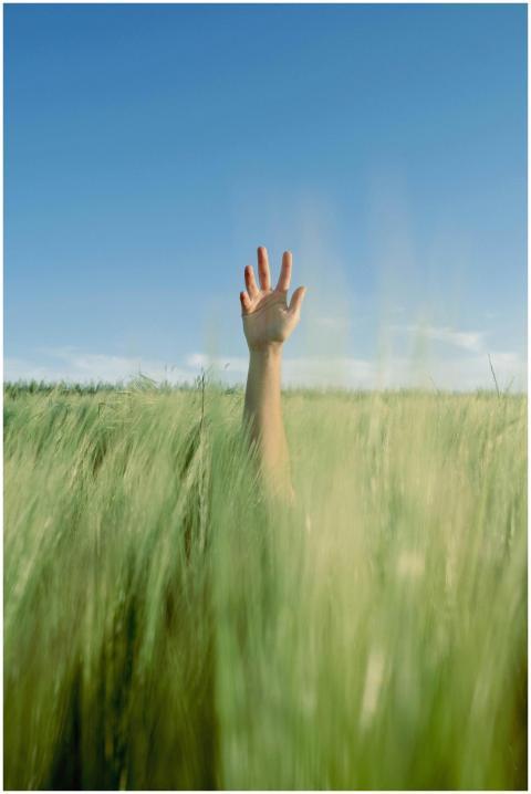 A hand emerging from a green field under a clear b