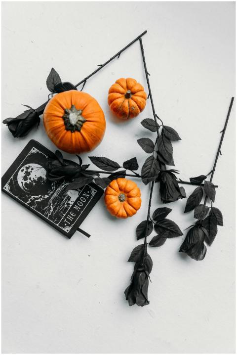 Halloween-themed flatlay with pumpkins, black rose