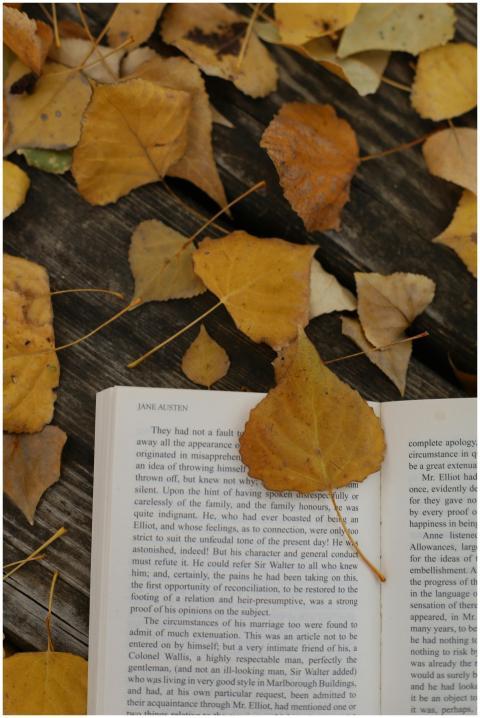 Open Book Autumn Leaves