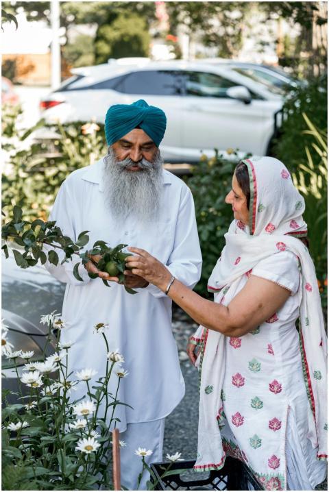 A traditional Indian couple harvests fruits in the