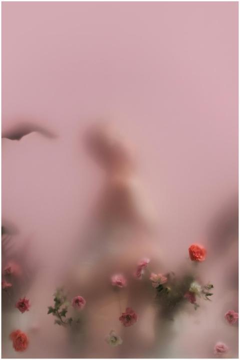 Blurred silhouette among translucent flowers on a
