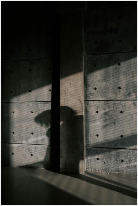 Intriguing shadows cast on a textured concrete wal