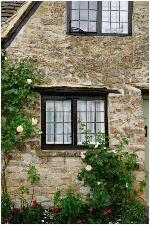 Charming stone cottage wall with blooming roses in