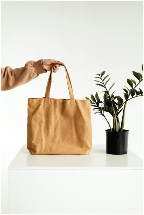 Stylish minimalist canvas tote bag held beside a p
