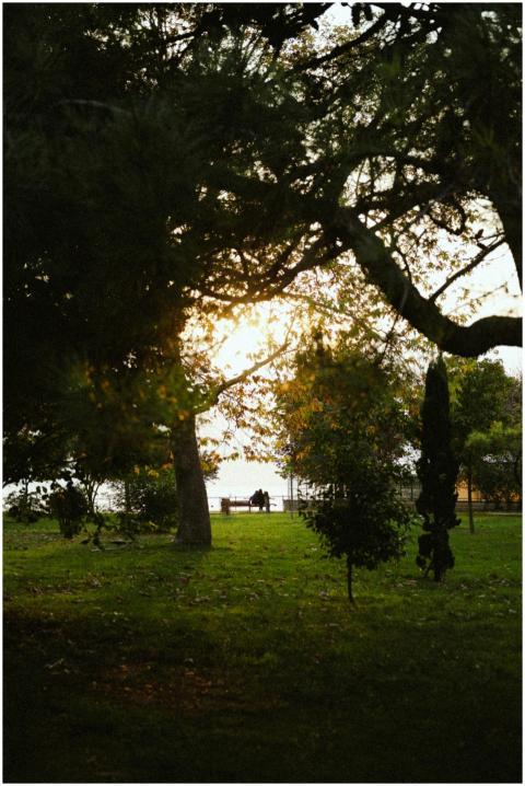 Free stock photo of autumn, candid, chill