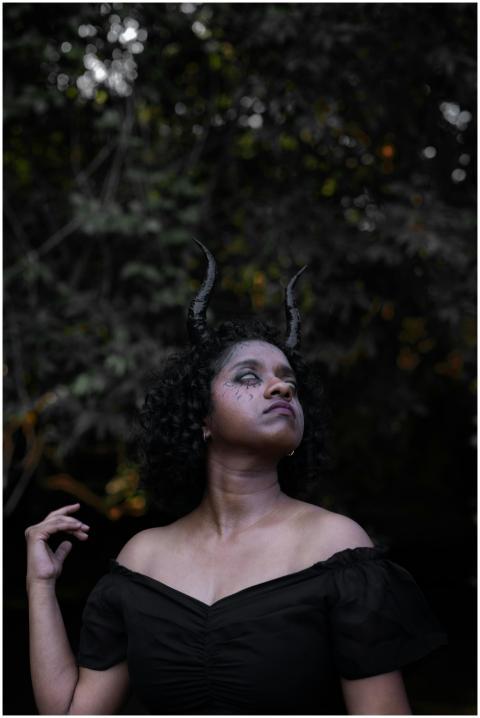 Free stock photo of a forest, curved horns, dark a