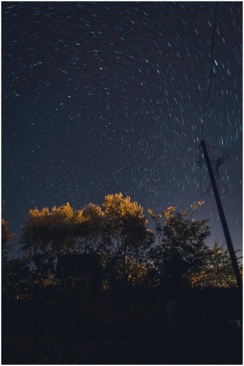 Star trails over a forest silhouette create a mesm