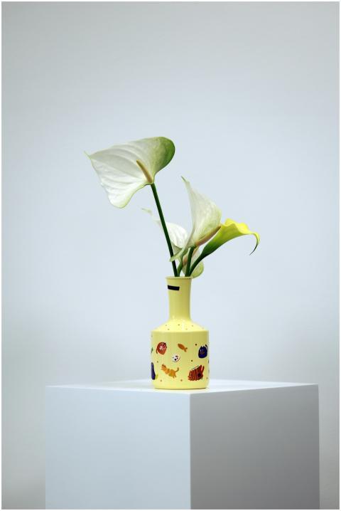 Stylish anthurium flowers in a colorful vase on a