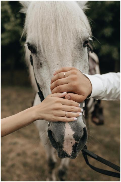 A romantic moment with a couple and a white horse,