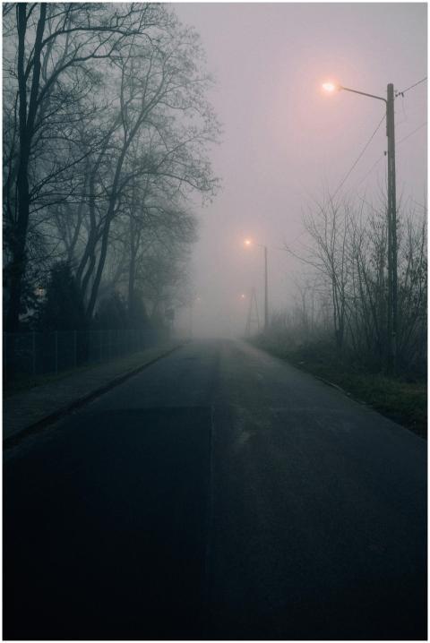 A quiet, foggy street with dimly lit street lamps