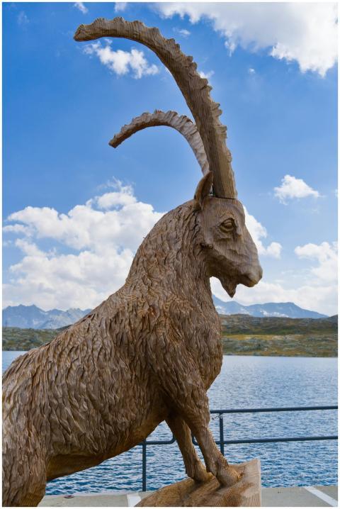 Alpine ibex statue at Grimsel Pass with stunning m