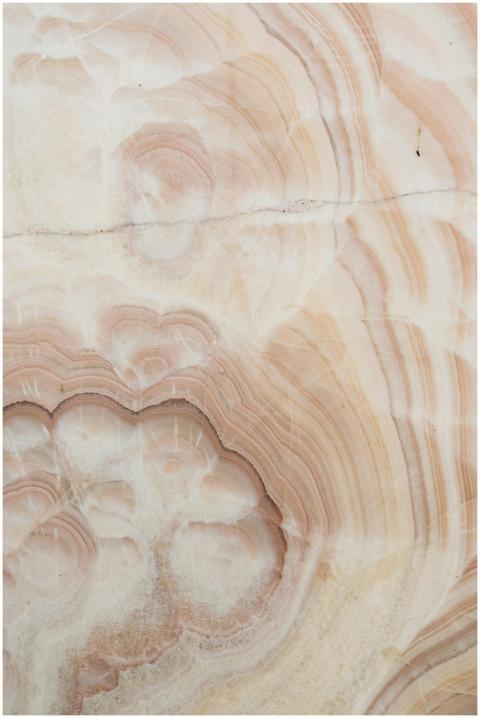 Close-up of textured stone surface showcasing abst