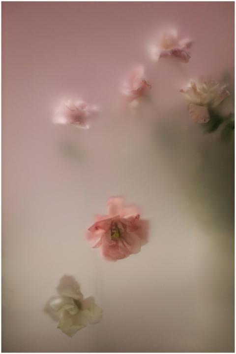 Dreamy composition of blurred pink flowers with so