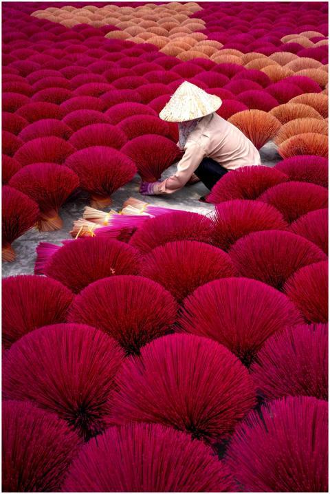 Woman arranges colorful incense sticks outdoors in