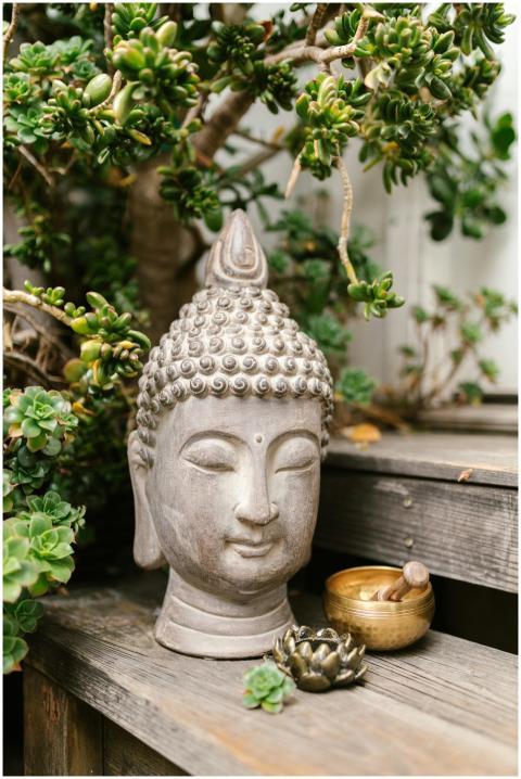 Buddha statue surrounded by lush greenery and medi
