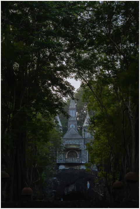 Mysterious Castle Surrounded Lush