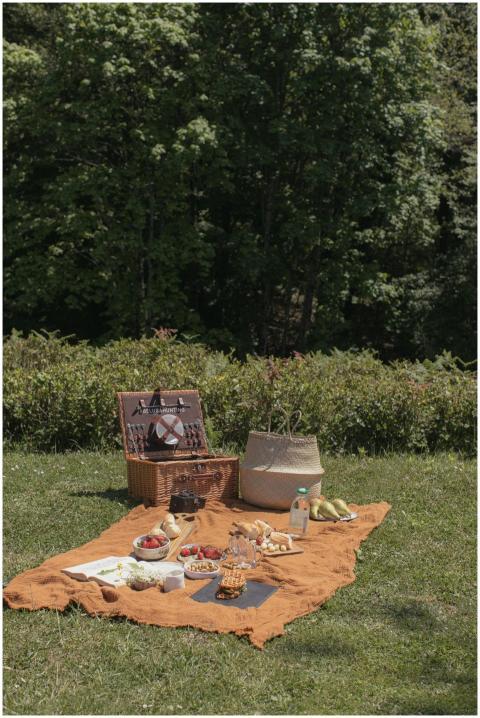 Delightful picnic spread on a colorful blanket in