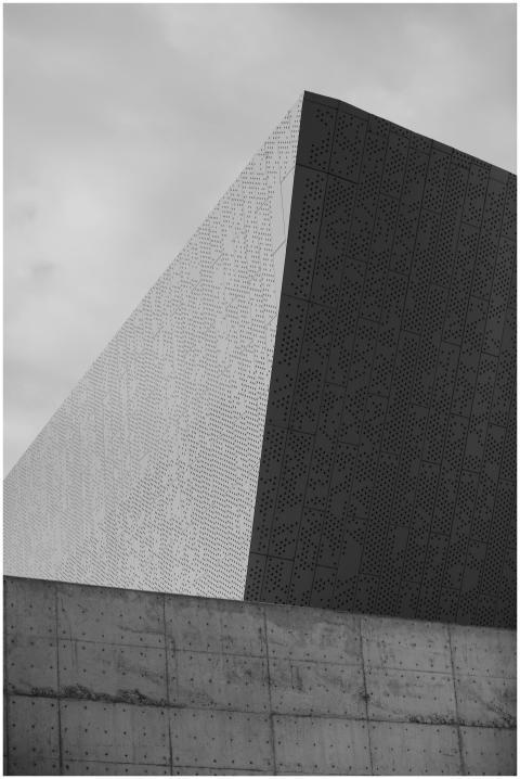 Captivating black and white photo of modern geomet