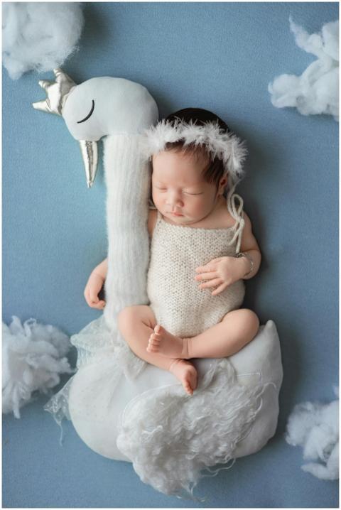 Free stock photo of angels, babies, baby