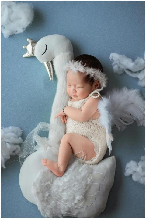 Free stock photo of angels, babies, baby