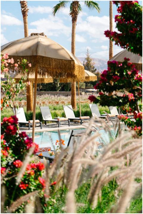 Free stock photo of pure house on the lake