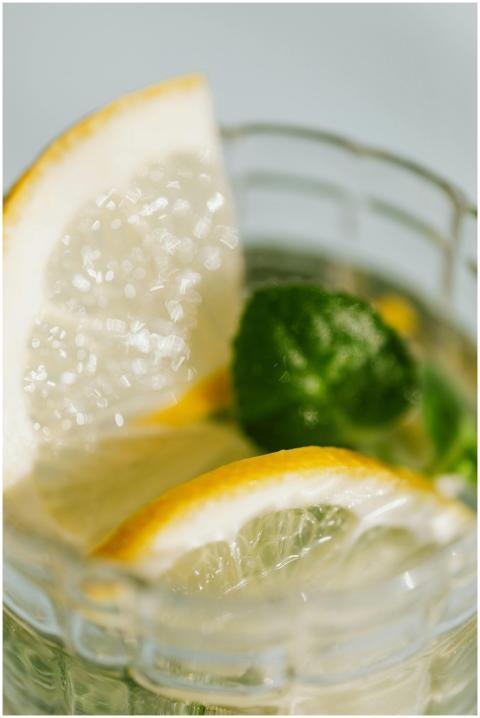 Close-up of refreshing lemon slices and mint leave