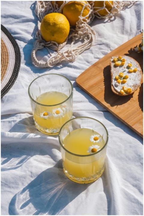 Enjoy a sunny picnic with fresh lemonade and chamo